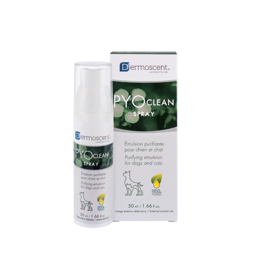 Pyoclean Spray Dropshipper and Exporter in singapore,usa,uk,uae,canada by Ernest Pharmaceutical