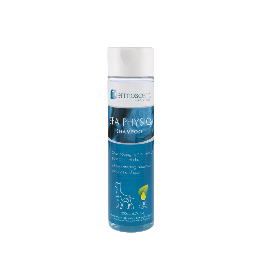 EFA PHYSIO Shampoo Dropshipper and Exporter in singapore,usa,uk,uae,canada by Ernest Pharmaceutical