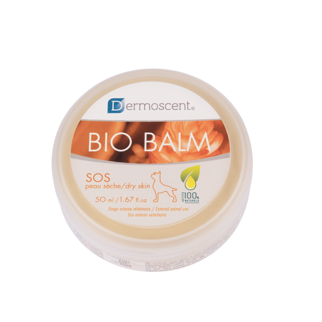 Bio balm Dropshipper and Exporter in singapore,usa,uk,uae,canada by Ernest Pharmaceutical