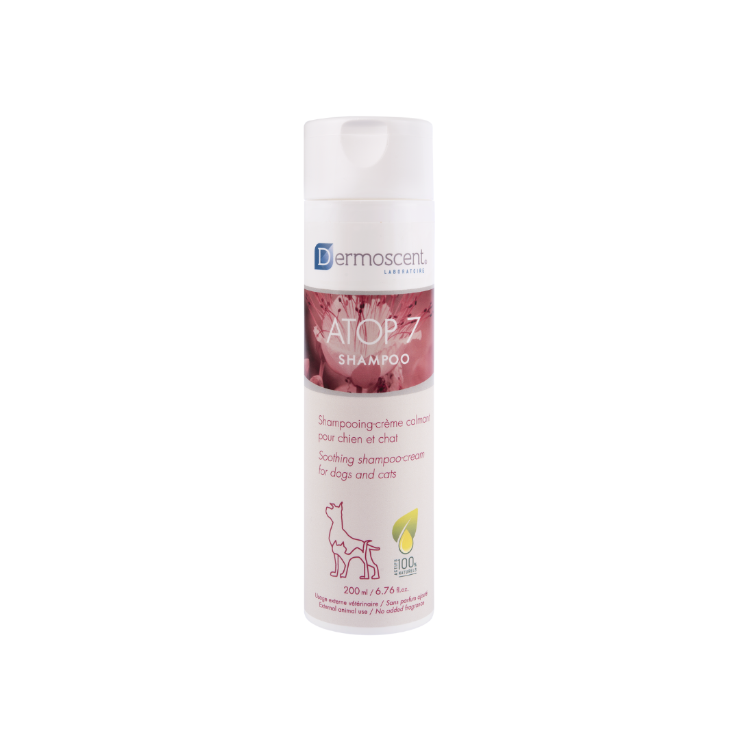 Atop 7 Shampoo Dropshipper and Exporter in singapore,usa,uk,uae,canada by Ernest Pharmaceutical