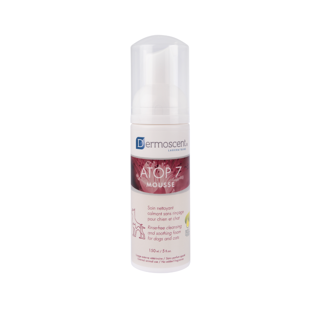 Atop 7 Mousse Dropshipper and Exporter in singapore,usa,uk,uae,canada by Ernest Pharmaceutical